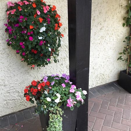 High Hedges Apartment B Oxford Exterior foto